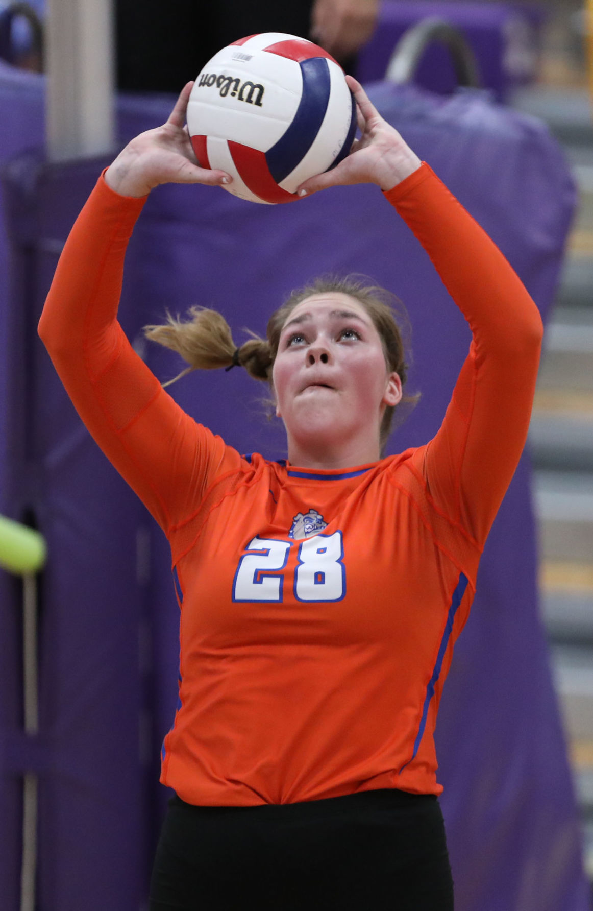 Mt Pulaski vs St Teresa volleyball 11 9.11.18.jpg